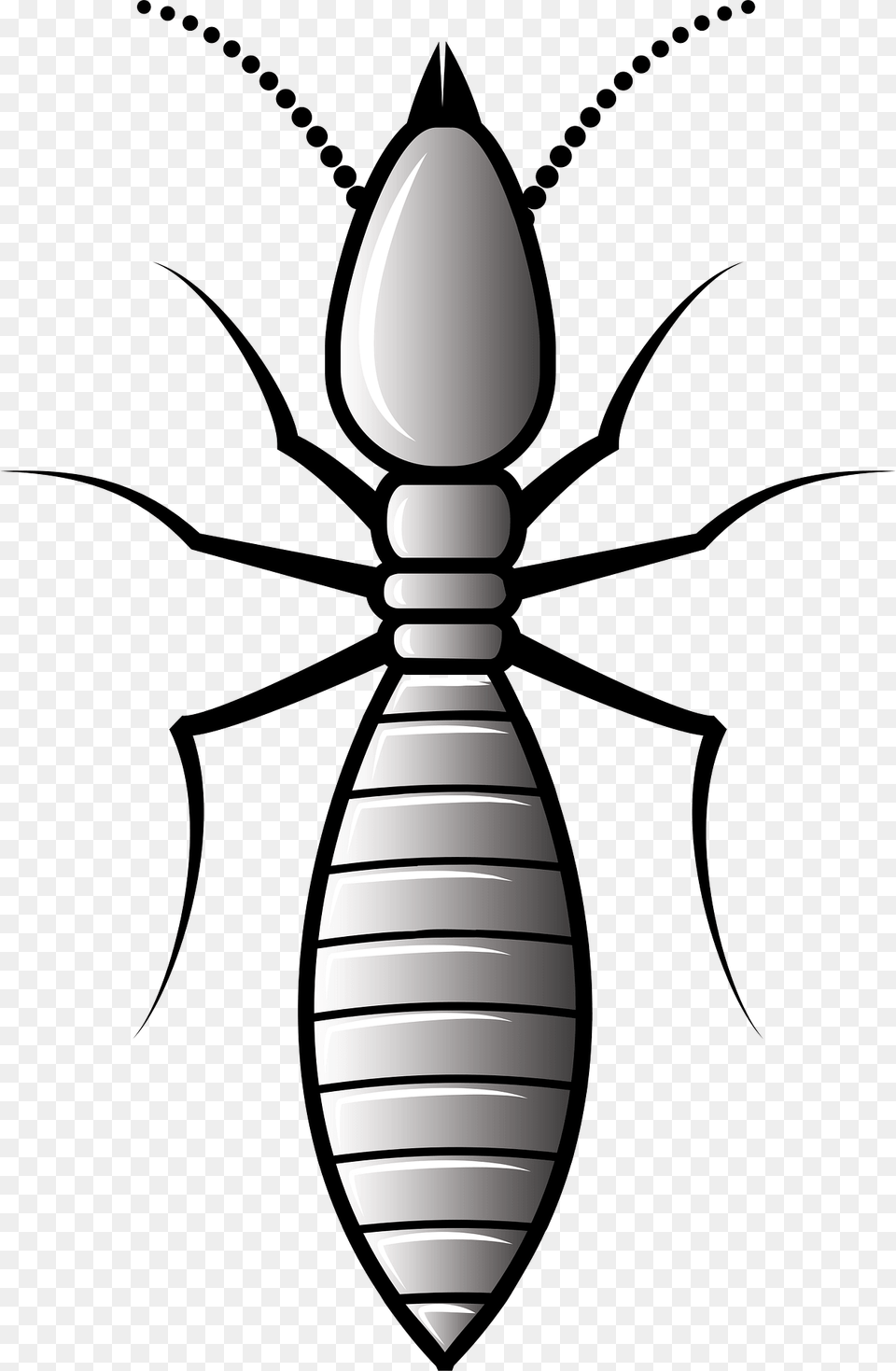 Termite Clipart, Animal, Cross, Symbol, Insect Png