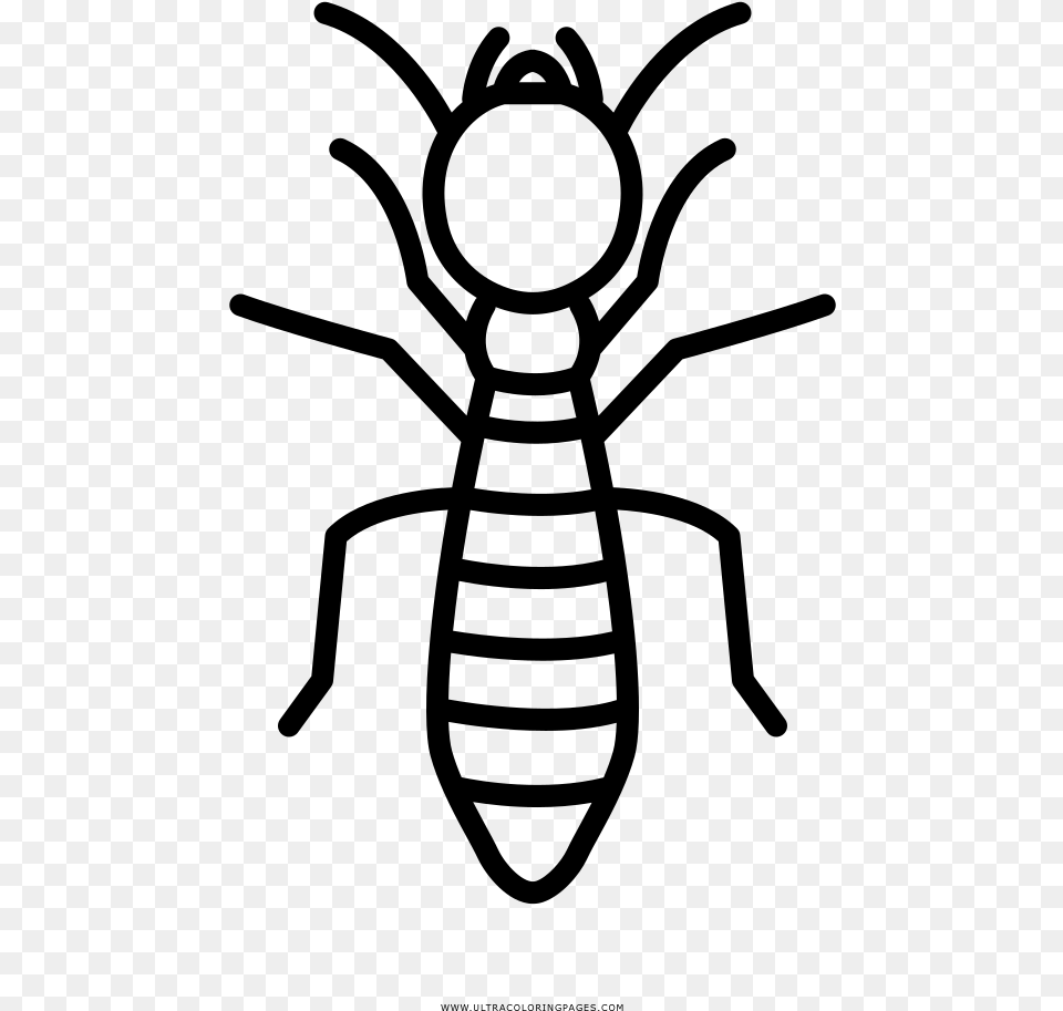Termite Coloring, Gray Png Image
