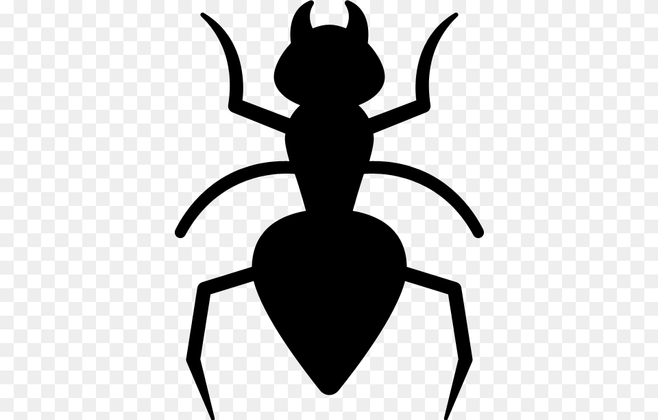 Termite Control, Gray Free Png Download
