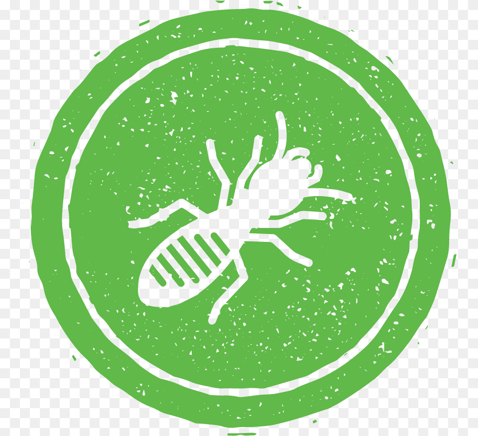Termite Control And Pest Control In Nashville Tn Illustration, Animal Free Png