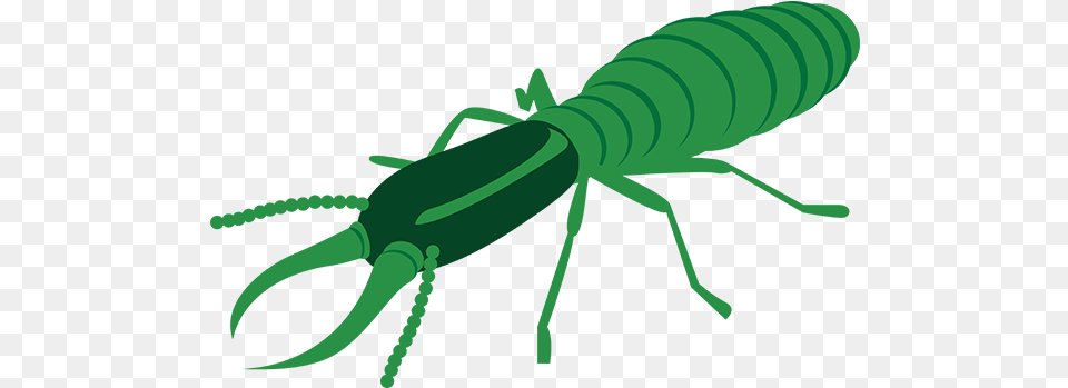 Termite Control Insect, Animal, Invertebrate, Aircraft, Airplane Free Transparent Png