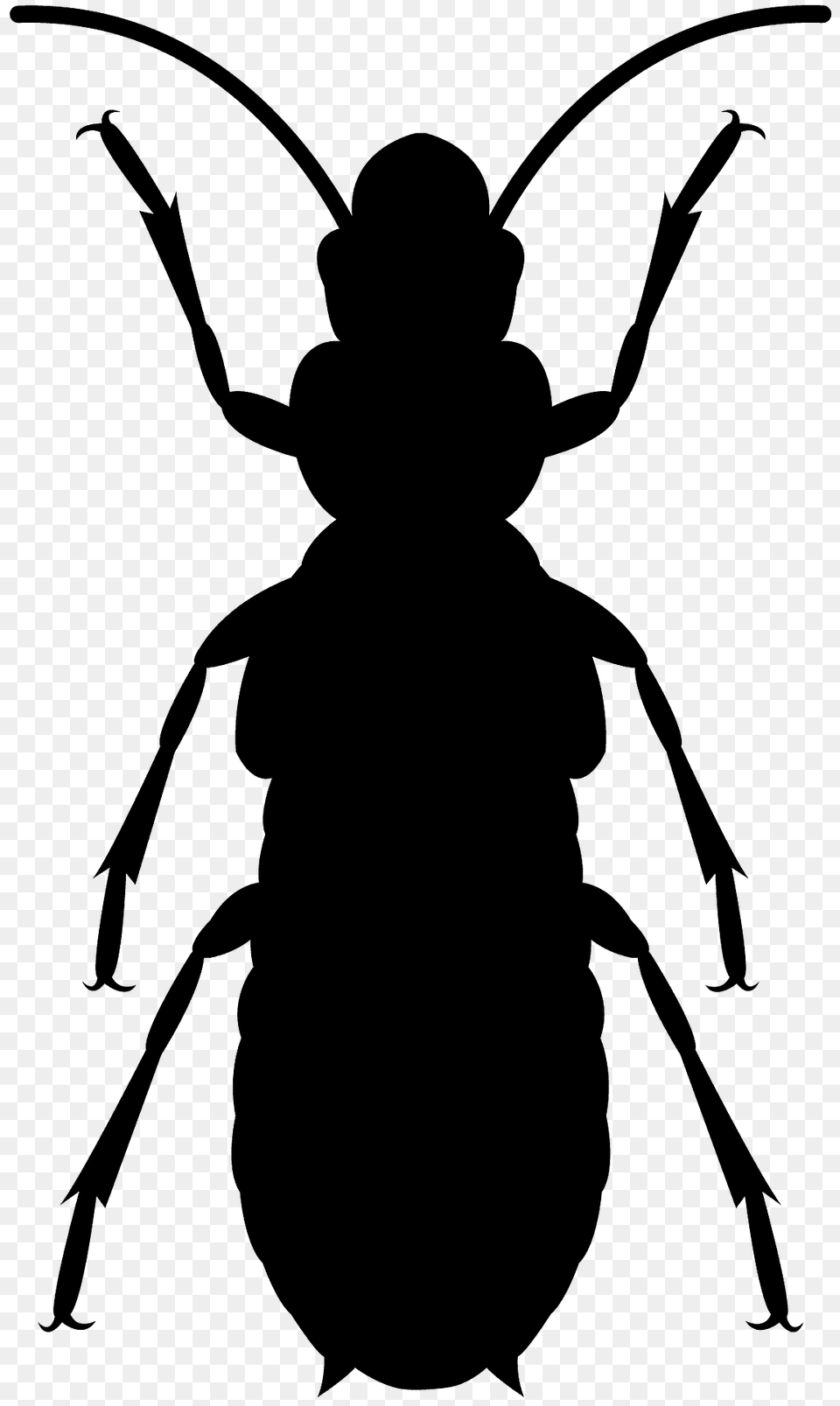 Termite Silhouette, Animal, Person Free Png Download