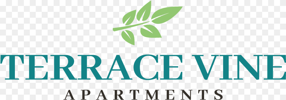 Terrace Vine Apartments Interbank Information Network Logo, Herbal, Herbs, Leaf, Plant Free Png