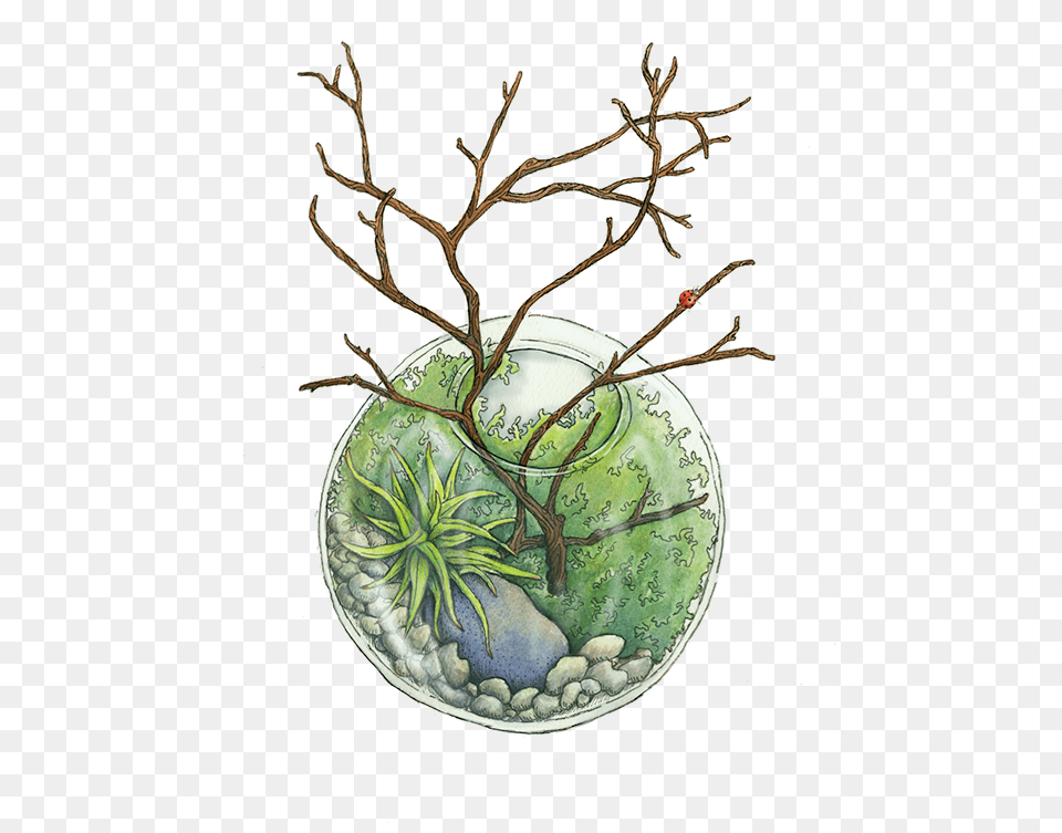 Terrarium On Scad Portfolios, Plant, Pottery, Art, Painting Free Png