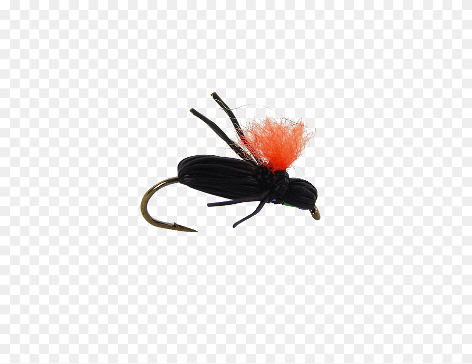Terrestrial Dry Flies Product Categories Holly Flies, Electronics, Hardware, Animal, Insect Free Png Download