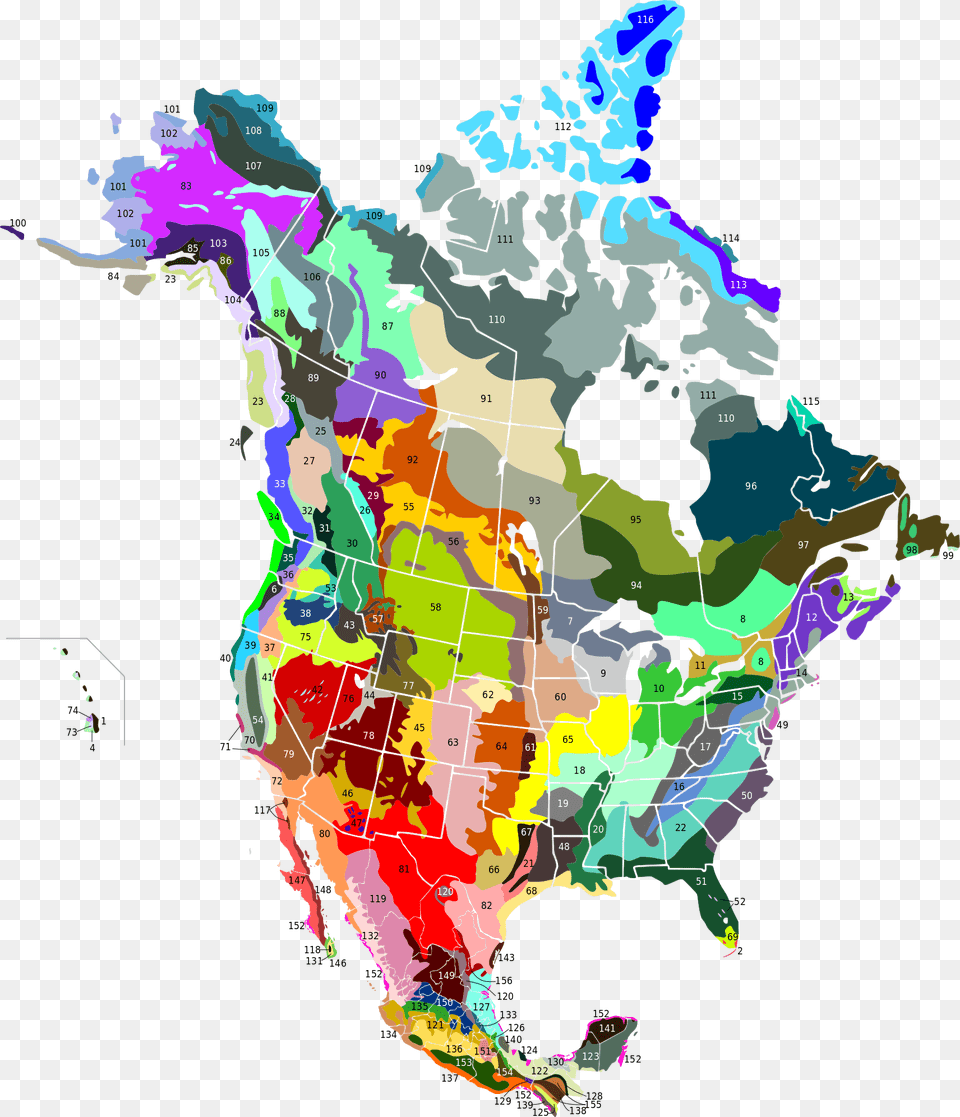 Terrestrial Ecoregions Of North America Canada, Chart, Plot, Map, Atlas Png Image