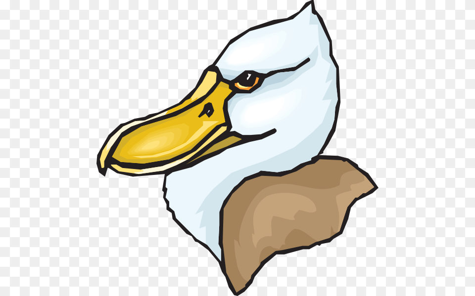 Terribly Charismatic Duck, Animal, Beak, Bird, Fish Free Png Download