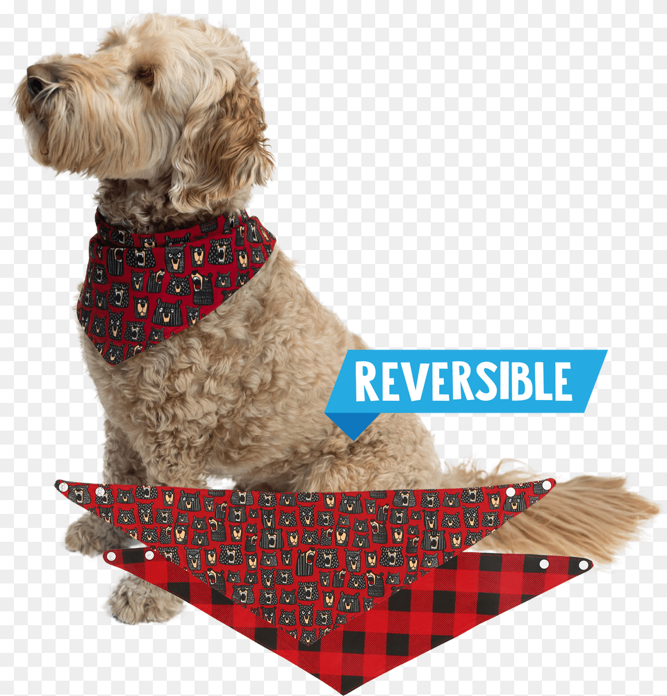 Terrier, Accessories, Formal Wear, Tie, Bandana Free Transparent Png