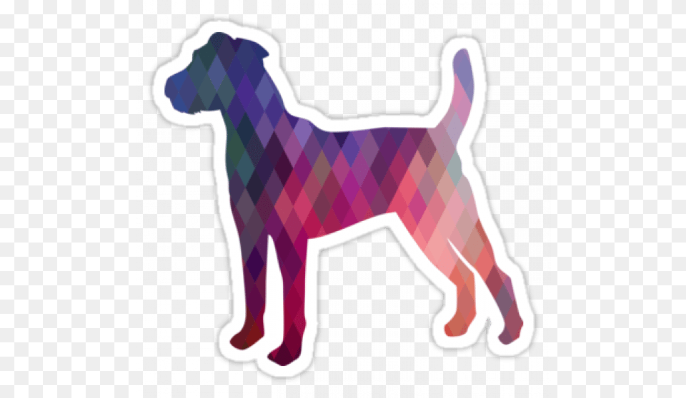 Terrier, Animal, Canine, Dog, Mammal Png Image