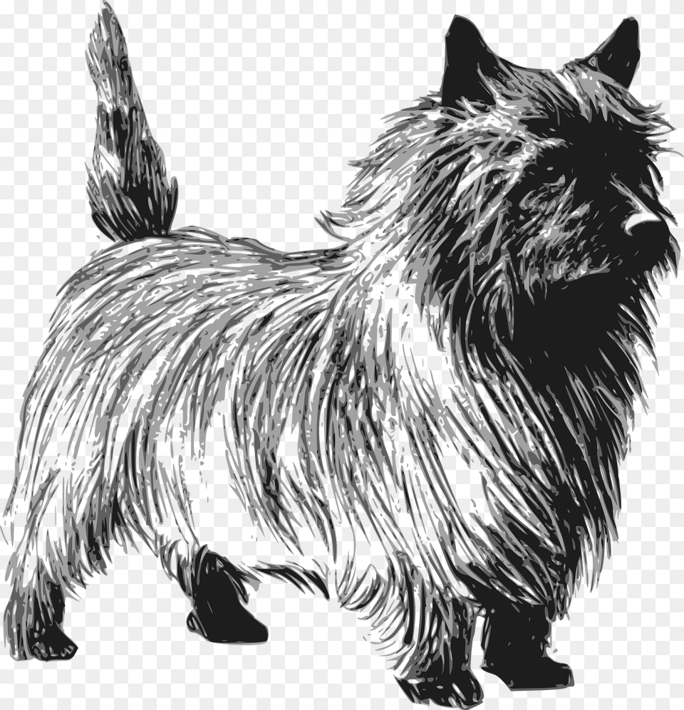 Terrier Clipart, Animal, Canine, Mammal, Pet Free Png