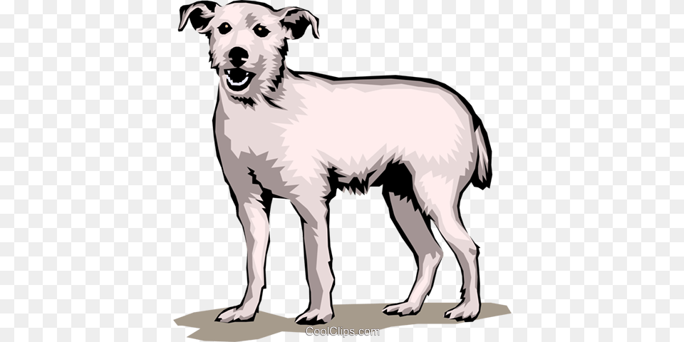 Terrier Dog Royalty Vector Clip Art Illustration, Animal, Canine, Mammal, Pet Free Png