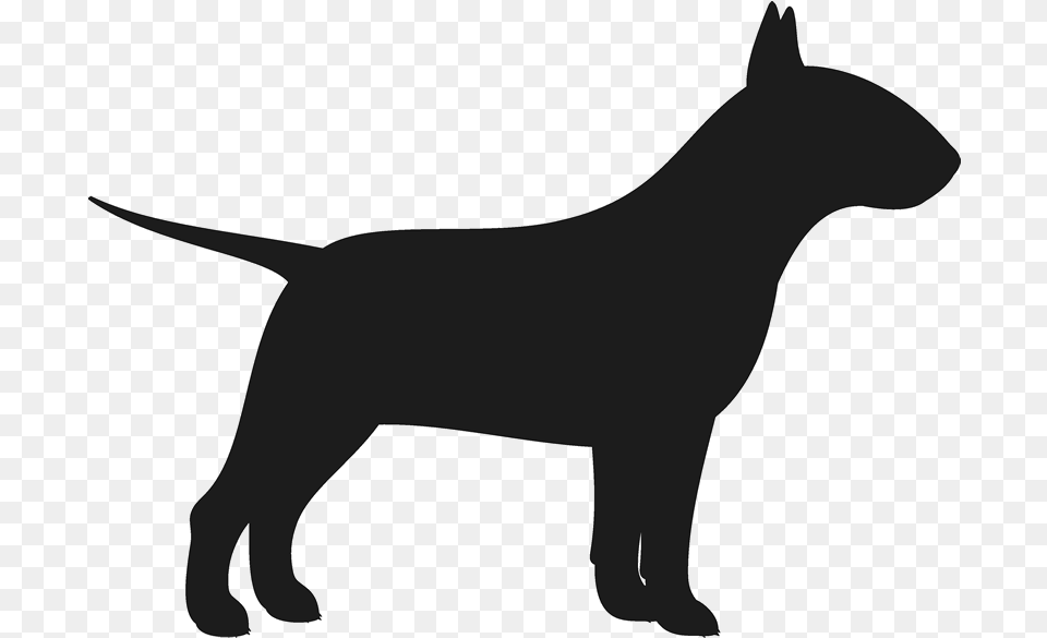 Terrier Silhouette At Getdrawings English Bull Terrier Silhouette, Animal, Pet, Canine, Dog Free Png Download