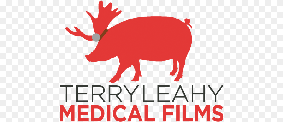Terryleahy Medical Reindeer, Animal, Mammal, Hog, Pig Free Png