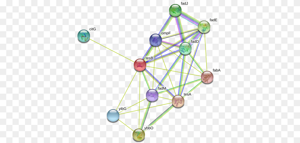 Tesb Protein Circle, Sphere, Machine, Network, Wheel Free Png