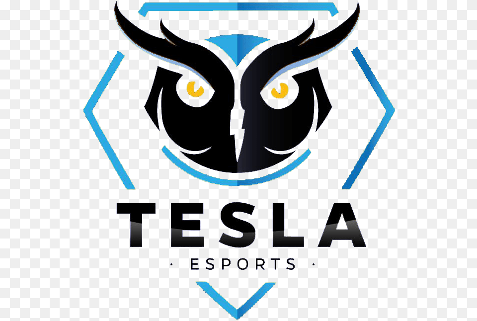Tesla E Sportslogo Square, Animal, Cat, Logo, Mammal Free Transparent Png