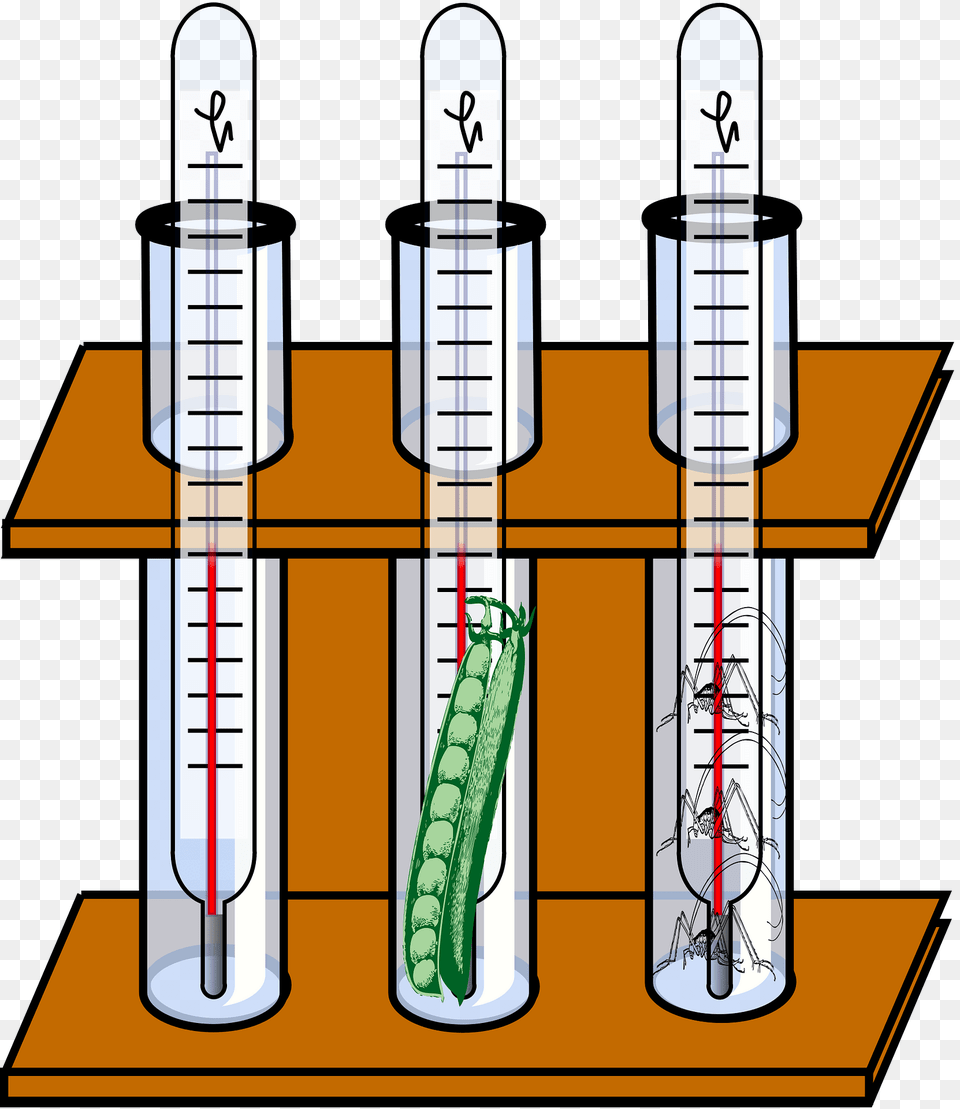 Test Tube Clipart, Chart, Plot, Cup, Dynamite Free Png Download