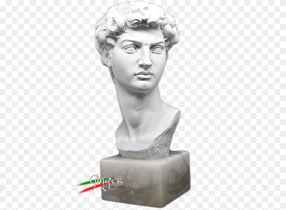 Testa Del Davi Di Michelangelo Statue Made In Italy Bust, Art, Adult, Bride, Female Free Png