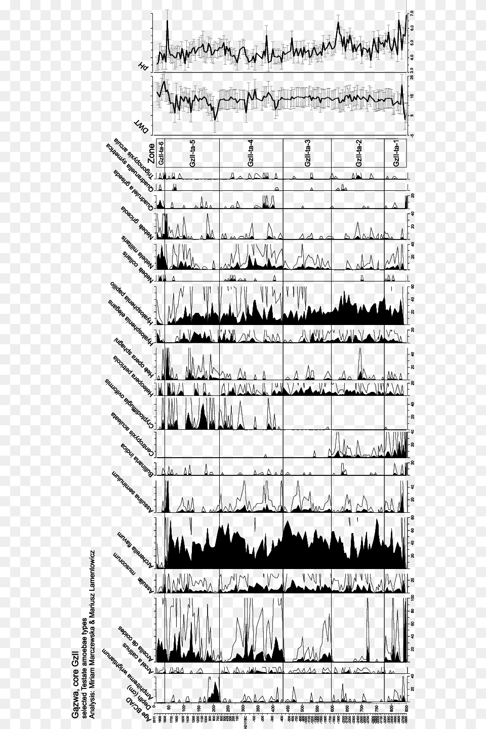 Testate Amoebae Percentages Are Shown In Black Five Times, Text Free Png