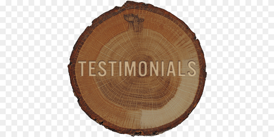 Testimonials Stump Graphic Lumber, Plant, Tree, Wood, Tree Trunk Free Png