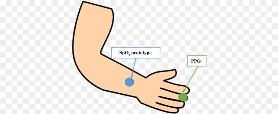 Testing Setup For The Correctness Of The Spo2 Prototype Thumb, Arm, Body Part, Person, Massage Free Png Download