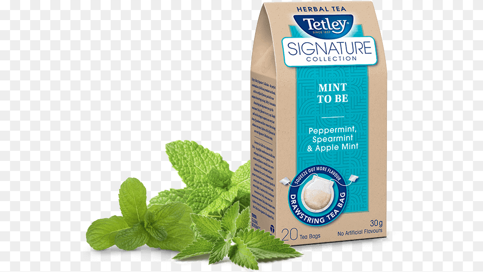 Tetley Signature Collection Mint To Be Tetley, Herbs, Plant, Herbal Free Png Download