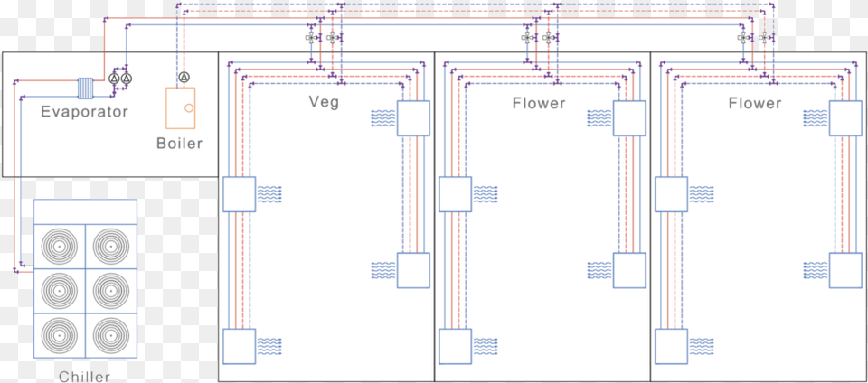 Tetra Cool Plan Free Png Download