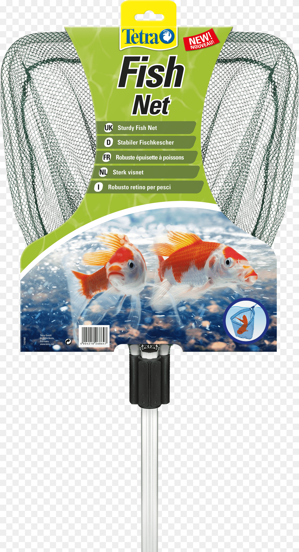 Tetra Pond Fish Net Tetra Png Image