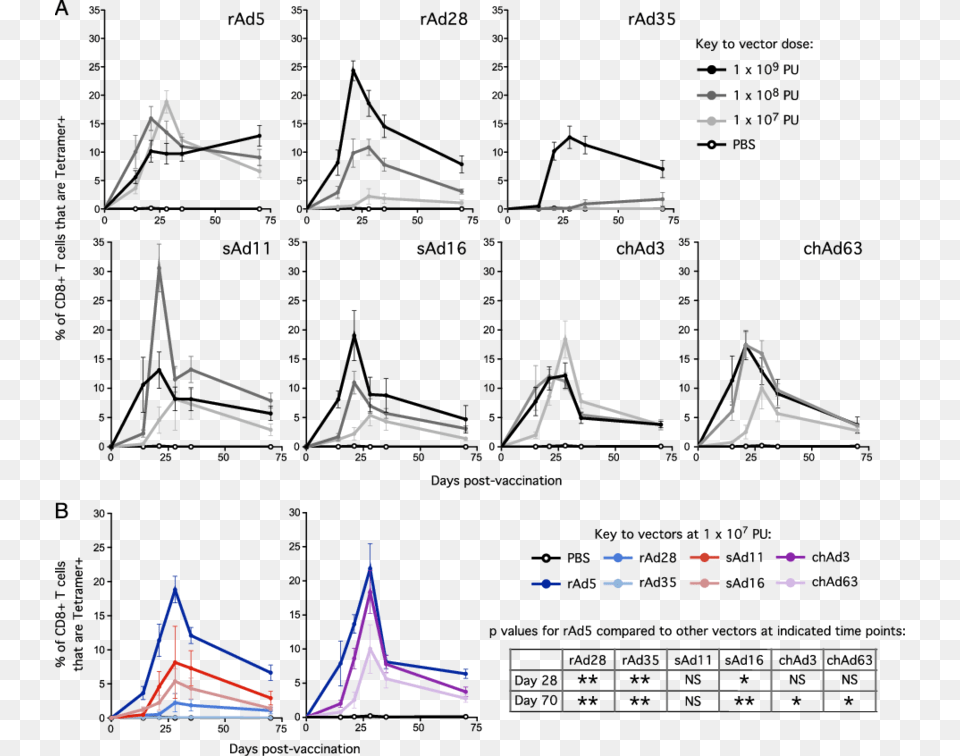 Tetramer Cd8 T Cell Responses In Peripheral Blood After Cytotoxic T Cell, Triangle Png Image