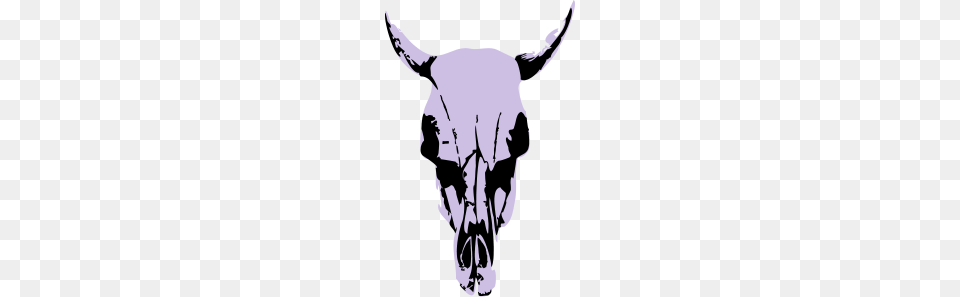 Texan Cow Skull, Stencil, Person, Animal, Mammal Png