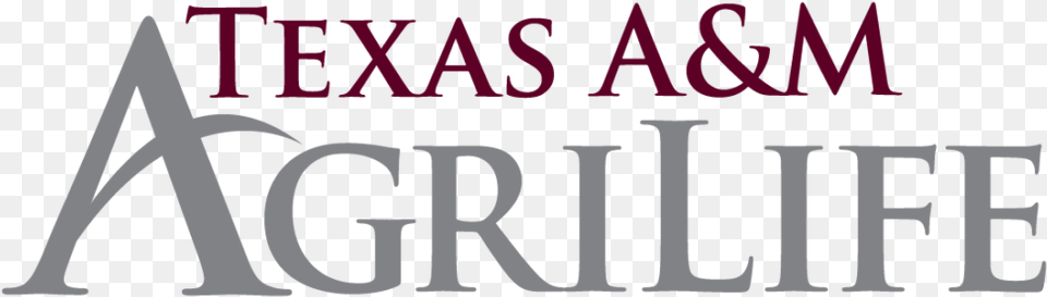 Texas Aampm Agrilife, Text, Book, Publication Free Png Download