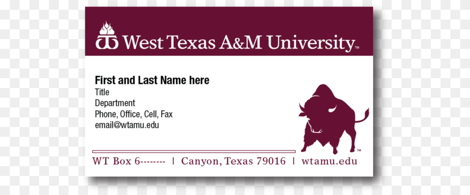 Texas Aampm Business Card Template West Texas Am University West Texas Aampm Buffaloes 4quotx8quot Die Cut Decal Two, Text, Animal, Bull, Mammal Png