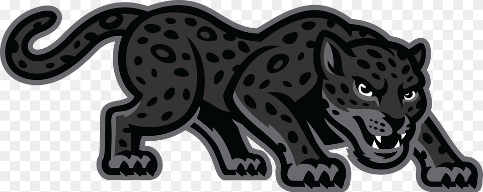 Texas Aampm San Antonio Jaguars, Animal, Mammal, Panther, Wildlife Free Transparent Png