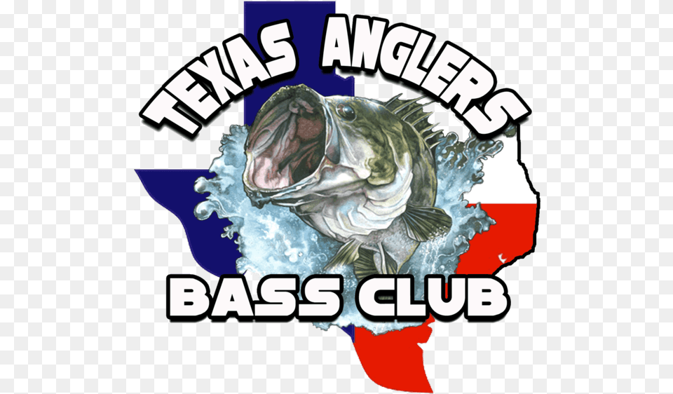 Texas Anglers Bass Club Noodling, Animal, Fish, Sea Life Free Png
