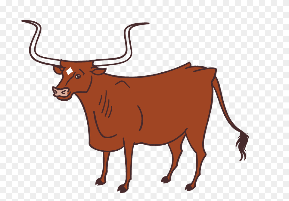 Texas Animals Lin Zagorski Portfolio, Animal, Bull, Cattle, Livestock Free Png Download