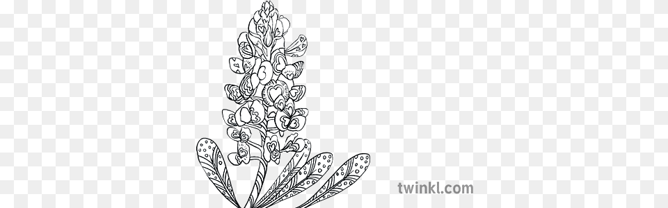 Texas Bluebonnet Foxglove Flower States United Usa Mps Ks2 Language, Art, Floral Design, Graphics, Pattern Png Image