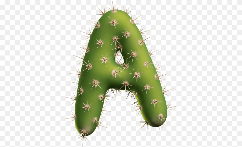 Texas Cactus Font San Pedro Cactus, Plant Png Image