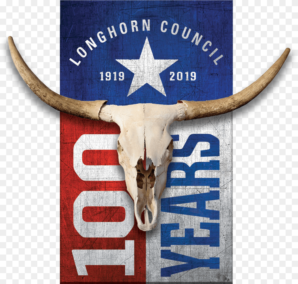 Texas Longhorn, Animal, Cattle, Livestock, Mammal Free Transparent Png