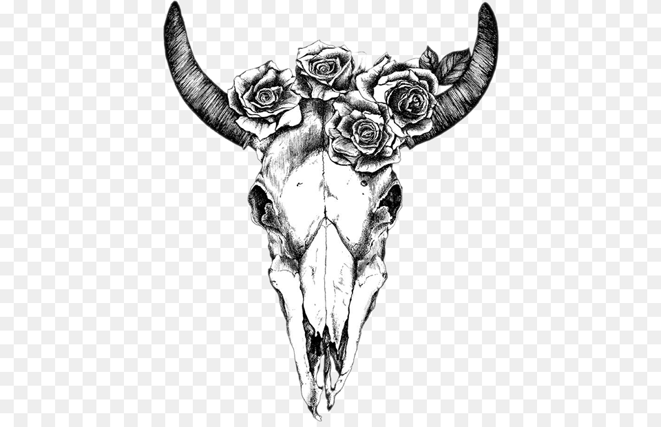 Texas Longhorn Drawing Human Skull Symbolism Bull Cow Skull With Flowers Drawing, Art, Animal, Mammal, Cattle Free Png