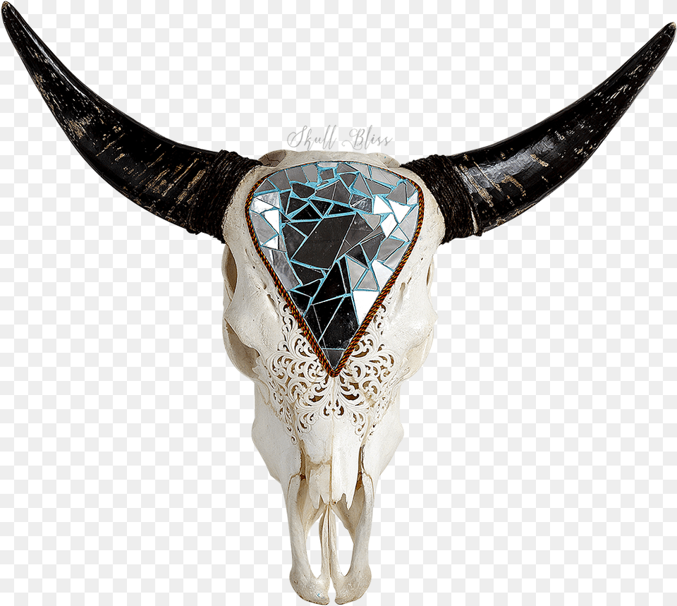 Texas Longhorn English Longhorn Animal Skulls Texas Longhorn, Accessories, Jewelry, Necklace, Blade Png