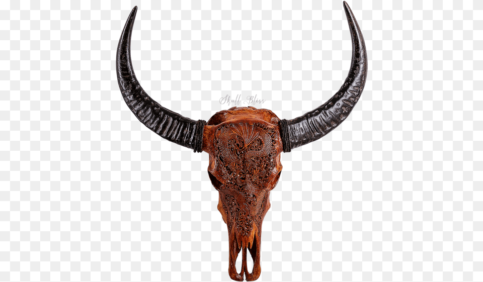 Texas Longhorn English Longhorn Skull Antique Buffalo Horns, Animal, Bull, Cattle, Mammal Free Png Download