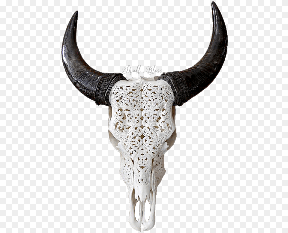 Texas Longhorn English Longhorn Skull Goat Carved Cow Skull, Animal, Bull, Mammal, Cattle Free Transparent Png
