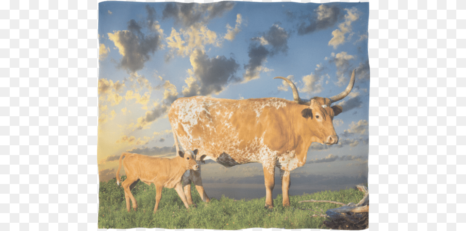 Texas Longhorn Fleece Blanket Calf, Animal, Cattle, Livestock, Mammal Png