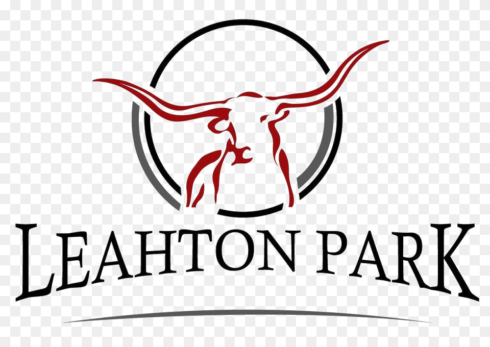 Texas Longhorn Wagon Tours Safaris Texas Longhorns In Australia, Animal, Cattle, Livestock, Mammal Png Image