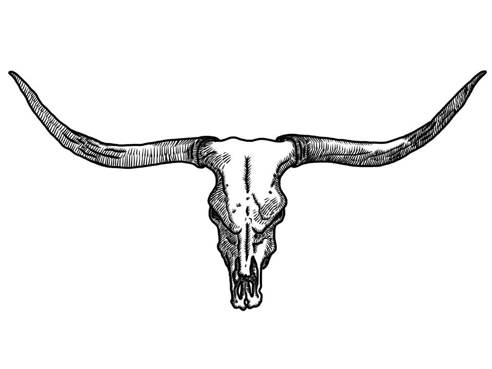 Texas Longhorns, Animal, Cattle, Livestock, Longhorn Free Transparent Png