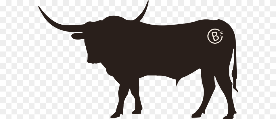 Texas Longhorns Clipart Download Best Texas Longhorns Clip Art, Animal, Bull, Cattle, Livestock Free Png