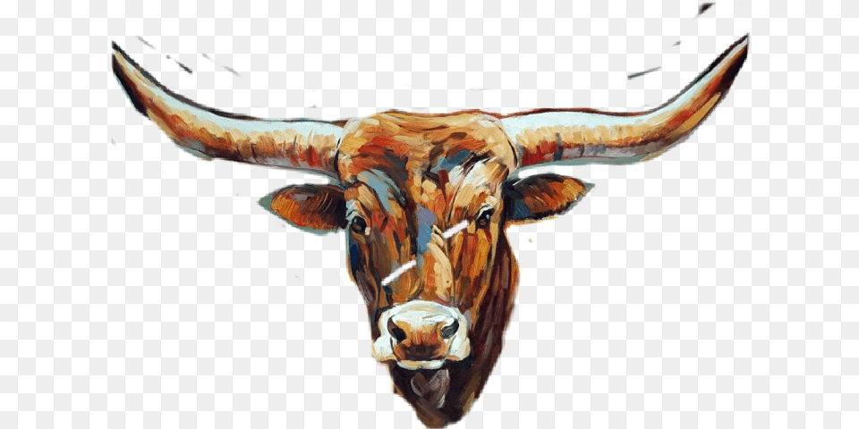 Texas Longhorns Football University Of Texas Longhorn Head, Animal, Bull, Cattle, Livestock Free Transparent Png