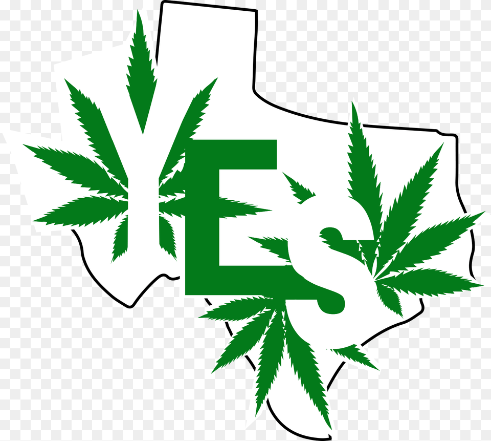 Texas Marijuana, Plant, Weed, Herbal, Herbs Free Png