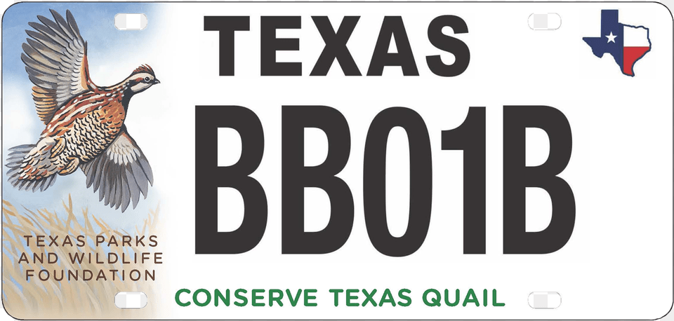 Texas Parks And Wildlife Foundation Texas License Plates, License Plate, Transportation, Vehicle, Animal Free Transparent Png