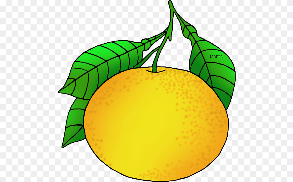 Texas State Fruit, Citrus Fruit, Food, Plant, Produce Png Image