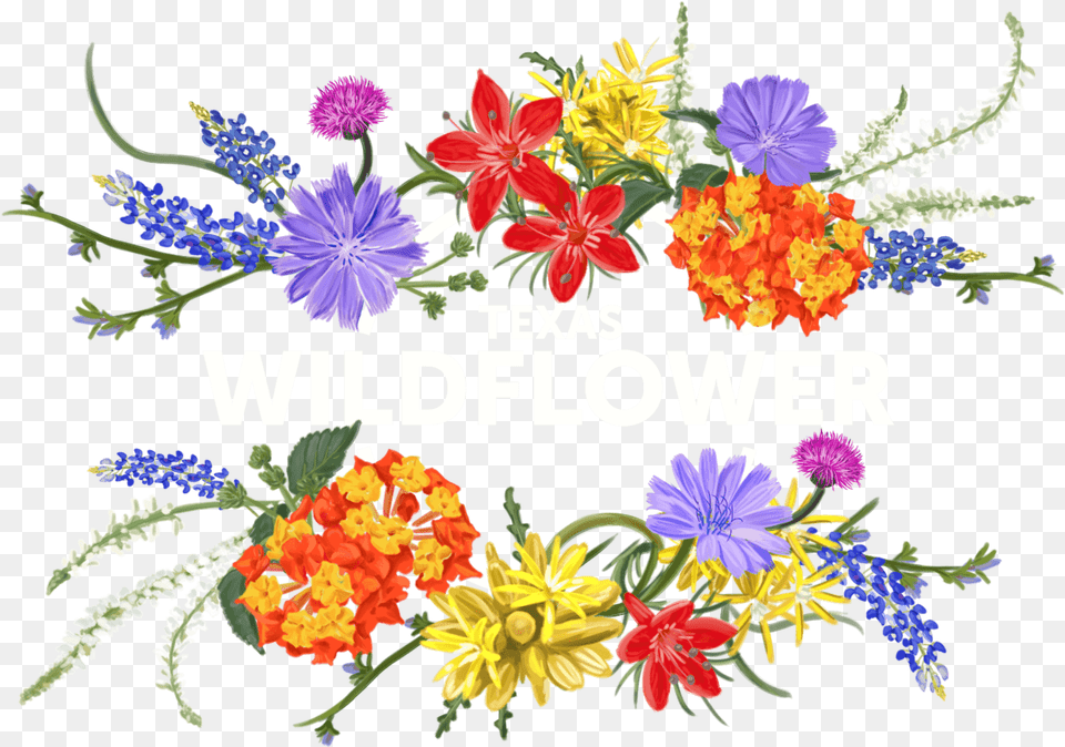 Texas Wildflower Vodka Wildflower Clipart, Art, Pattern, Graphics, Flower Bouquet Png